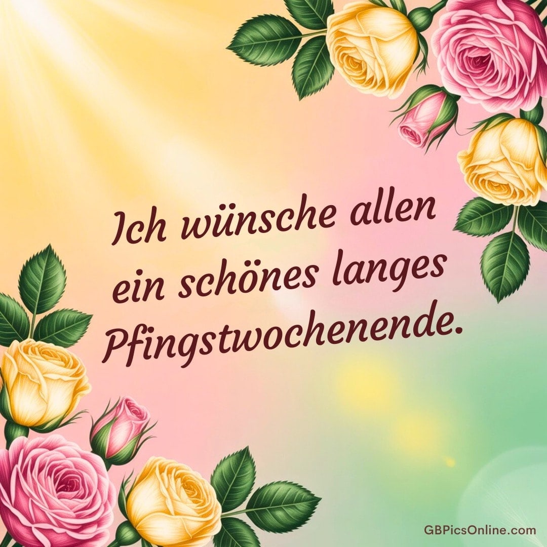 Bunte Rosen auf pastellfarbenem Hintergrund mit dem Text „Ich wünsche allen ein schönes langes Pfingstwochenende.“