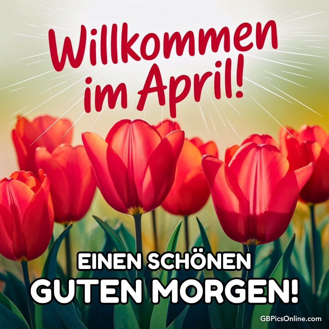 Rote Tulpen mit den Worten „Willkommen im April!“ und „Einen schönen guten Morgen!“