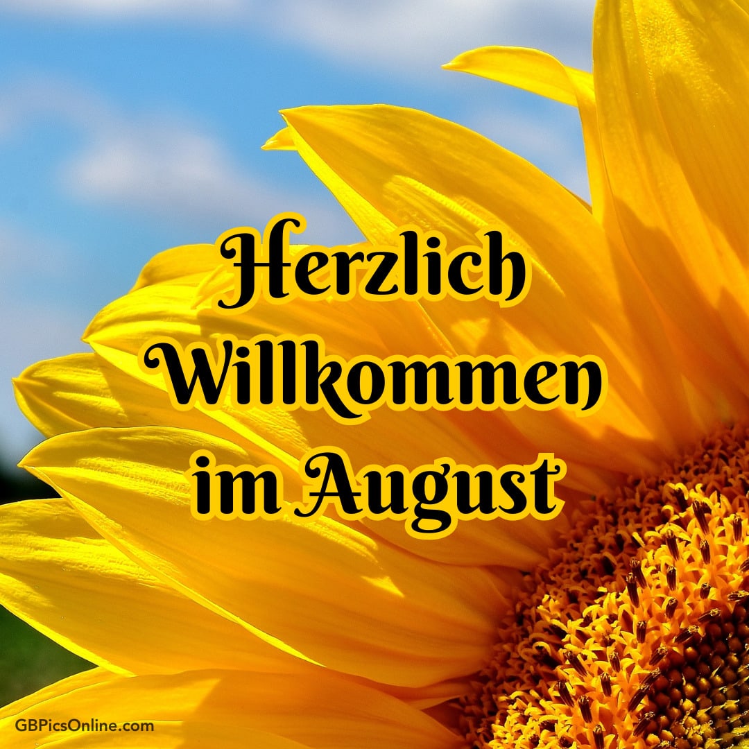 Nahaufnahme einer Sonnenblume mit Text: Herzlich Willkommen im August