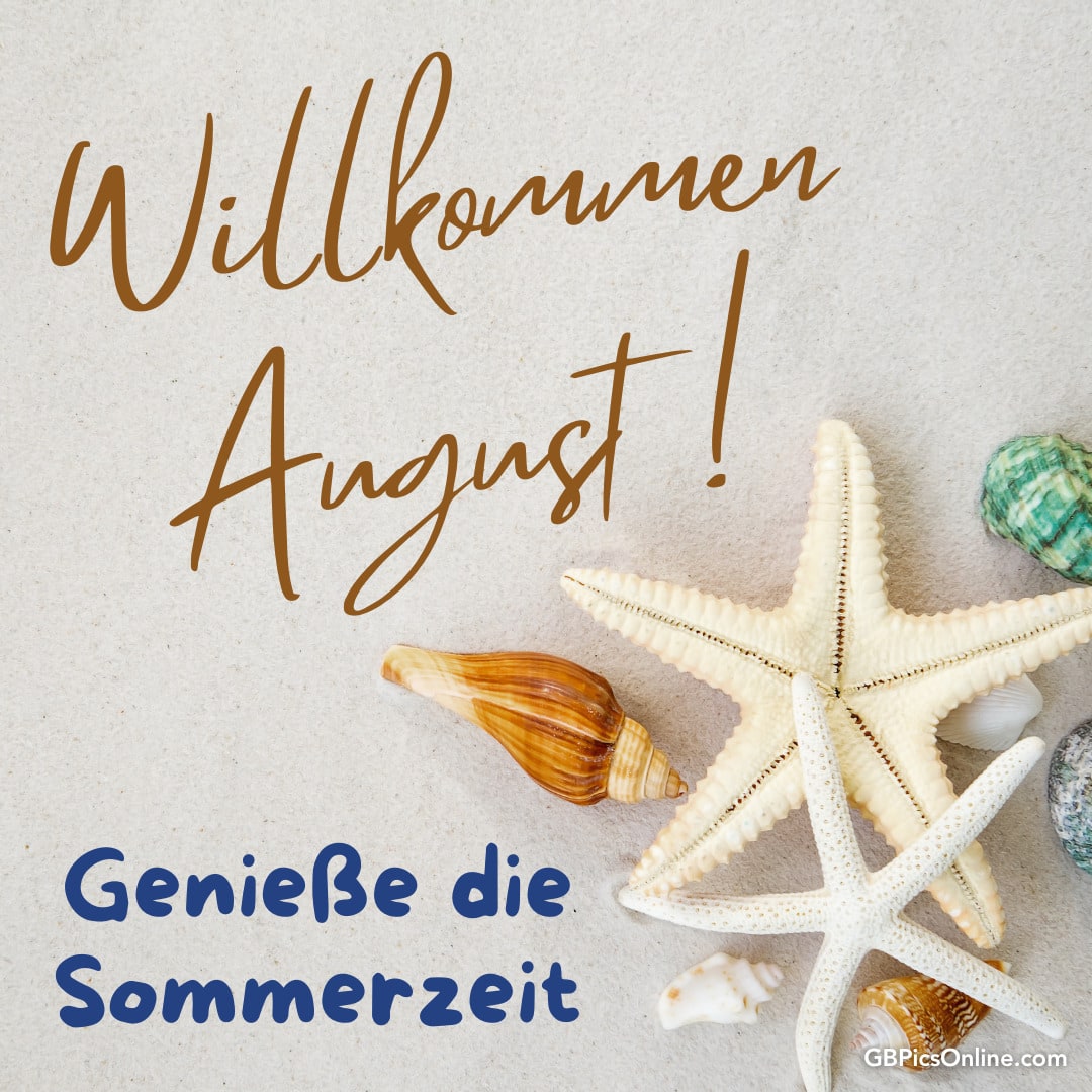 Text: „Willkommen August! Genieße die Sommerzeit“ mit Muscheln und einem Seestern