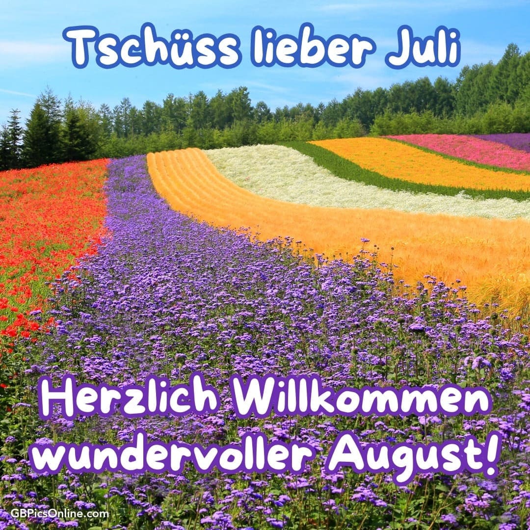 Buntes Blumenfeld mit Text: „Tschüss lieber Juli, Herzlich Willkommen wundervoller August!“