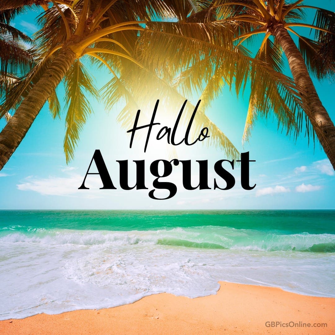 Sonniger Strand mit Palmen und dem Schriftzug „Hallo August“