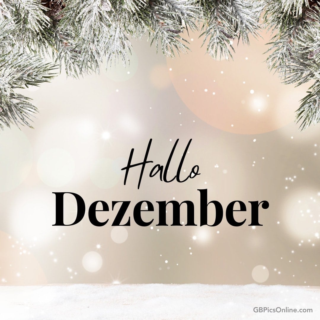 Schneebedeckte Tannenzweige mit der Aufschrift „Hallo Dezember“