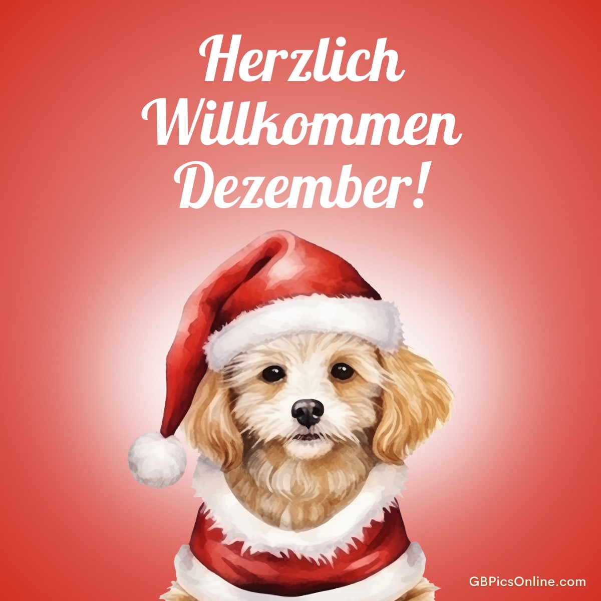 Ein süßer Hund in einem Weihnachtsmannkostüm wünscht einen herzlichen Dezember