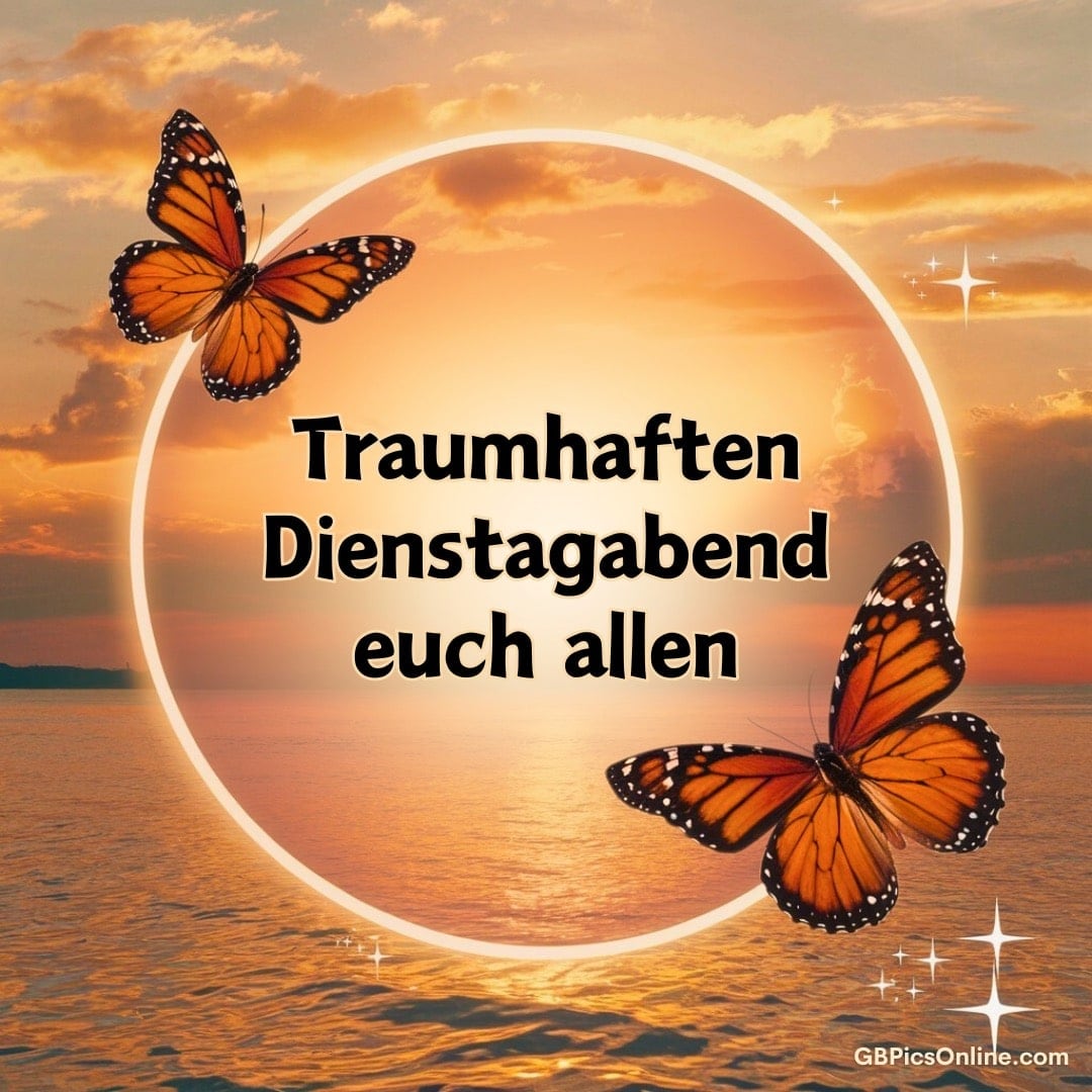 Sonnenuntergang über dem Meer mit zwei Schmetterlingen und dem Text „Traumhaften Dienstagabend euch allen“