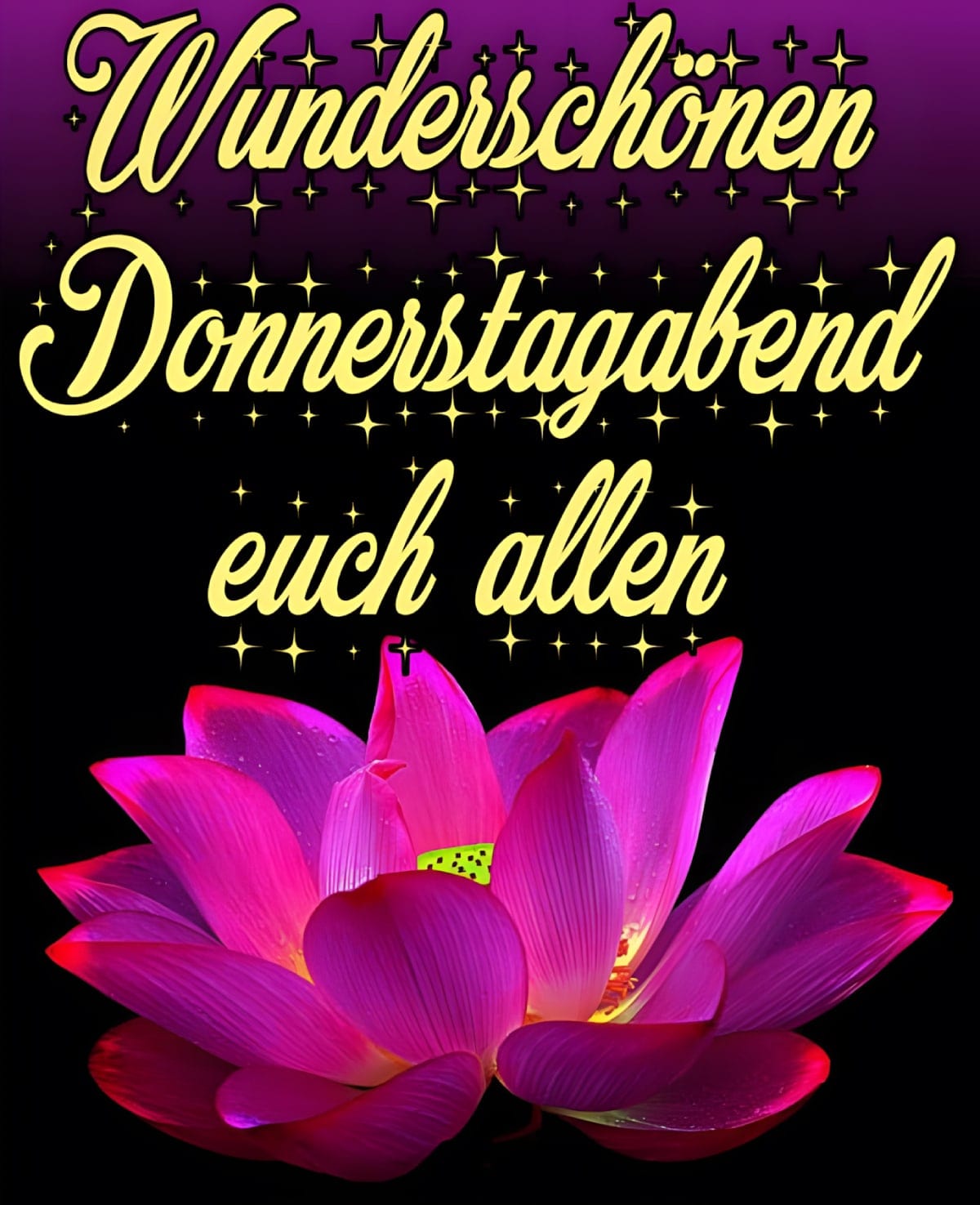 Bunter Gruß mit „Wunderschönen Donnerstagabend euch allen,“ umgeben von Sternen und einer großen, pinken Blüte