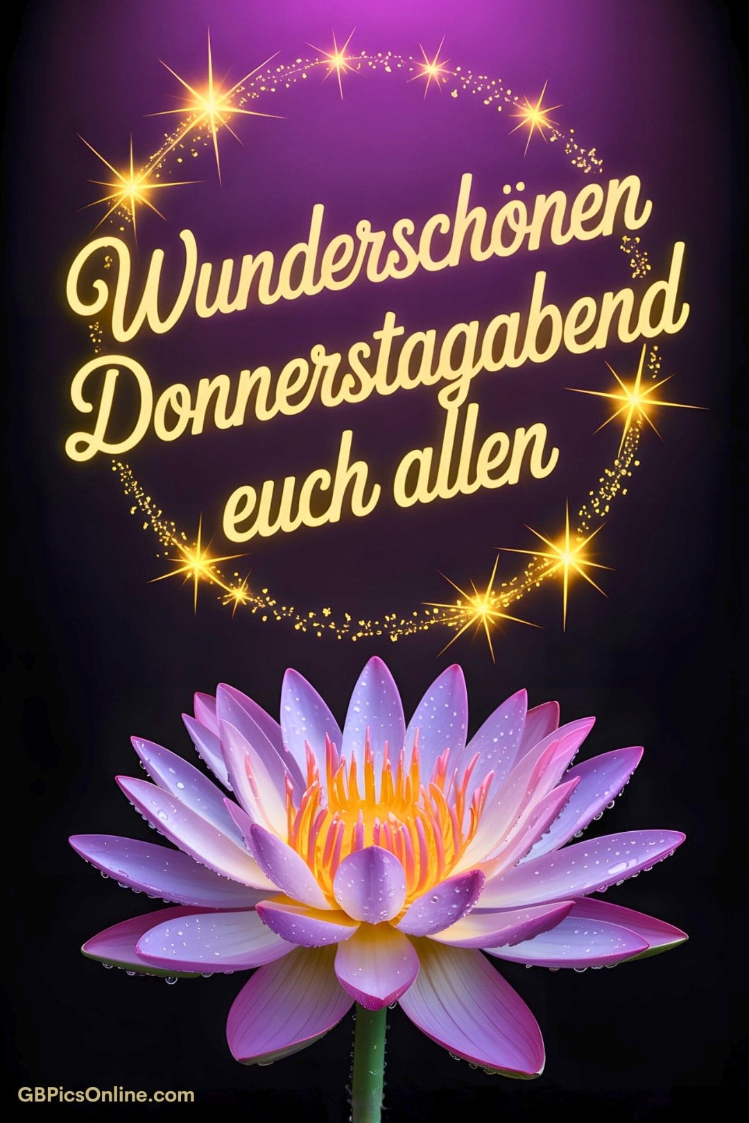 Wunderschönen Donnerstagabend euch allen - goldene Schrift über einer leuchtenden Seerose