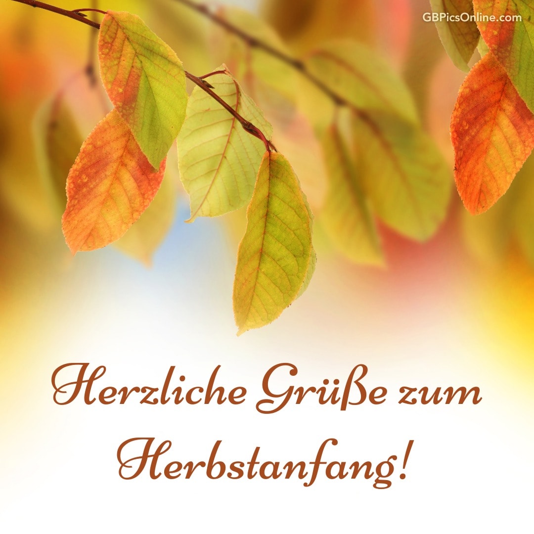 Herbstlaub mit Text „Herzliche Grüße zum Herbstanfang