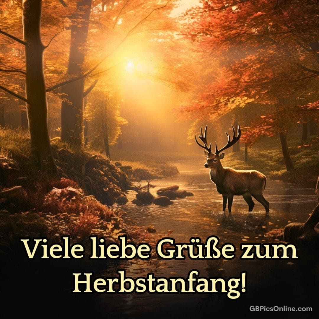 Hirsch im nebligen Herbstwald bei Sonnenaufgang