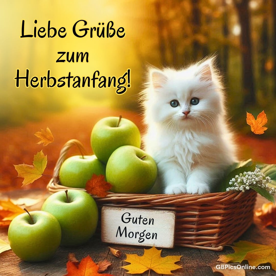 Eine weiße Katze sitzt in einem Korb neben grünen Äpfeln, umgeben von Herbstlaub