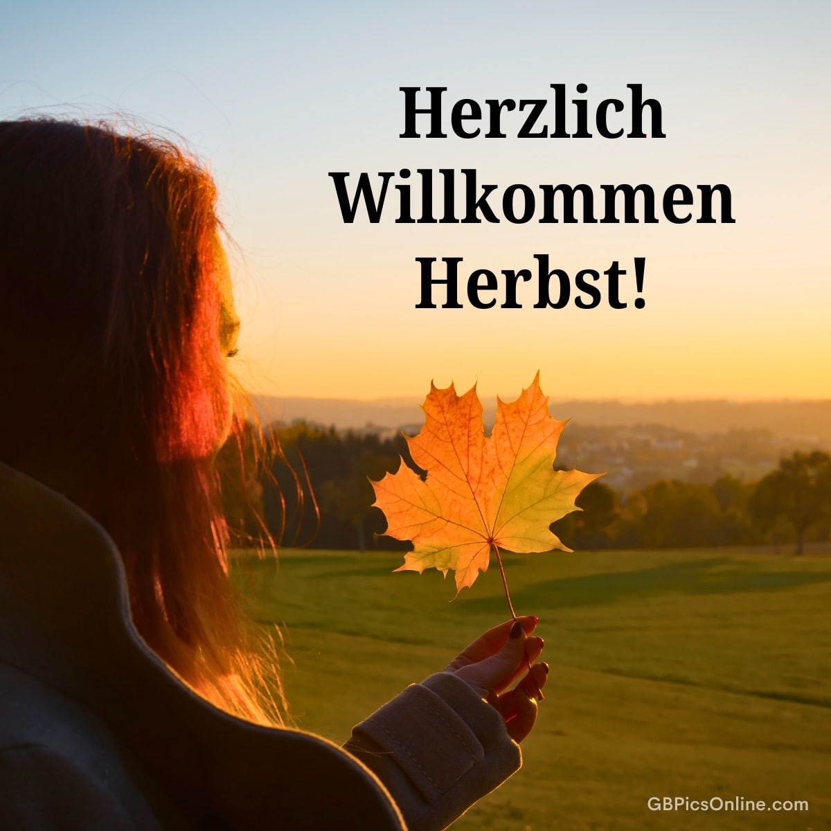Frau hält ein Herbstblatt bei Sonnenuntergang