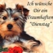 Dienstag Bilder