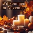 November Bilder