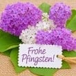Pfingsten Pfingsten Bilder