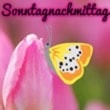 Sonntag Nachmittag