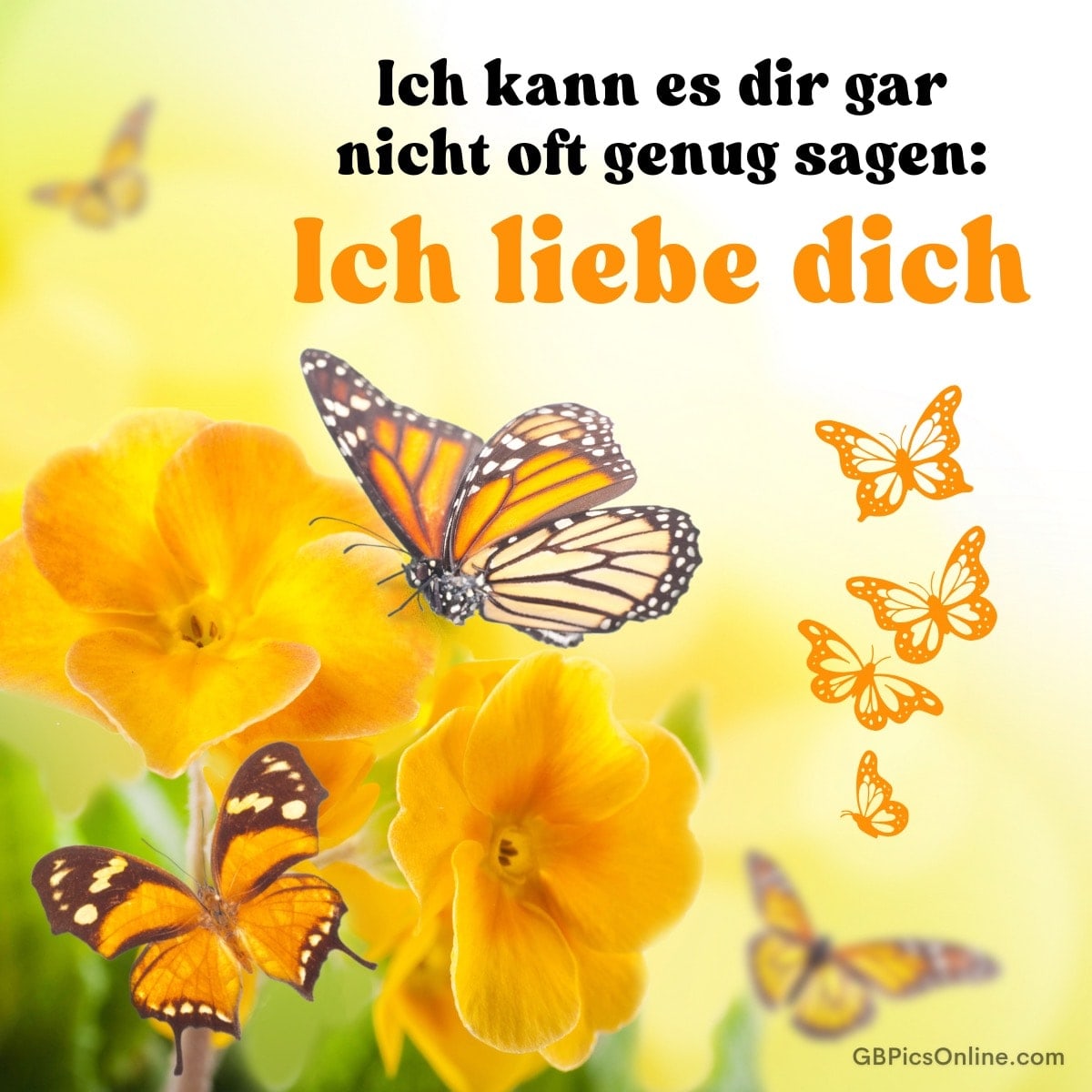 Gelbe Blüten mit Schmetterlingen und dem Spruch: „Ich kann es dir gar nicht oft genug sagen: Ich liebe dich“