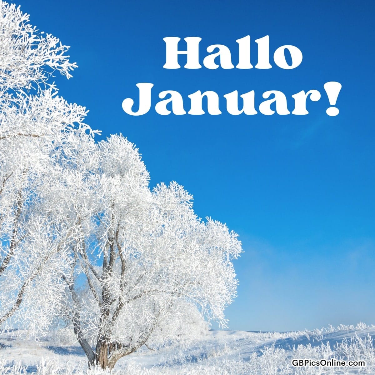 Schneebedeckte Bäume unter klarem blauen Himmel, „Hallo Januar!“ Text oben