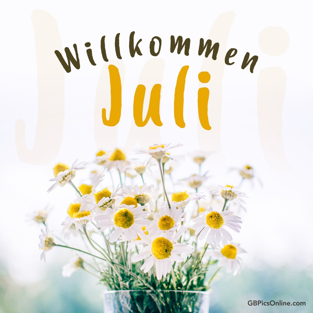 „Willkommen Juli“ Schriftzug mit Gänseblümchen im Vordergrund