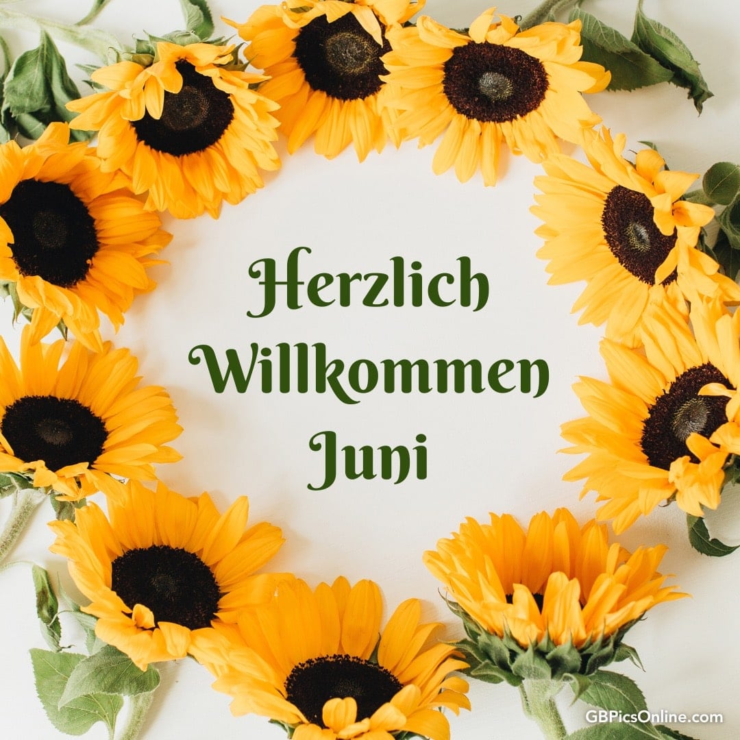 Ein Kranz aus Sonnenblumen mit der Aufschrift „Herzlich Willkommen Juni“