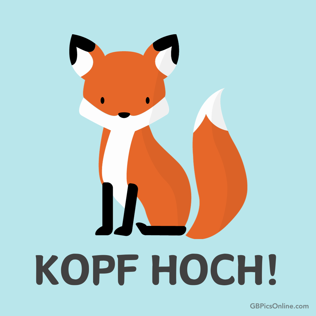 Ein illustrierter Fuchs steht vor einem blauen Hintergrund mit den Worten KOPF HOCH!