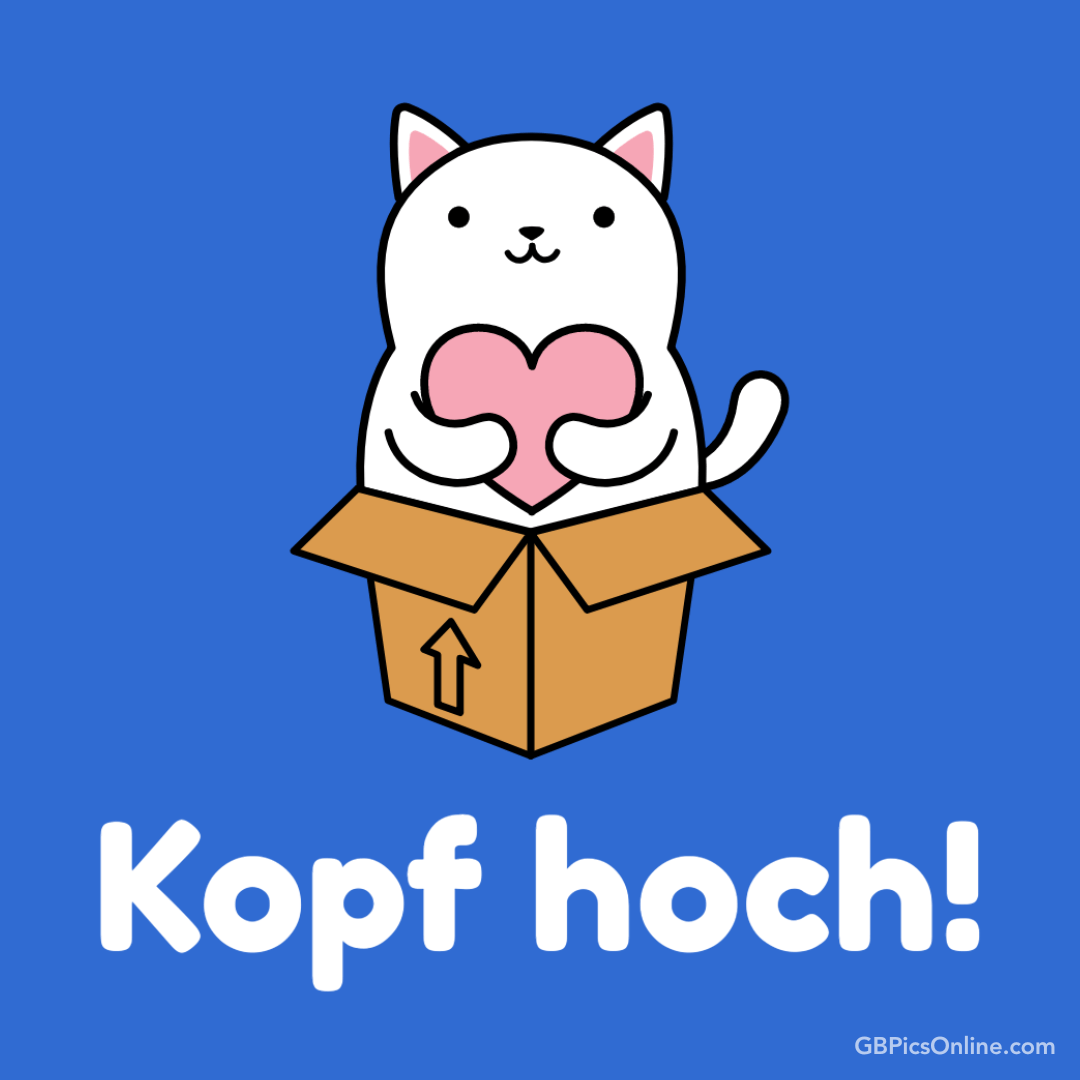 Eine Zeichnung zeigt eine weiße Katze in einem Karton, die ein Herz hält. Text: „Kopf hoch!“