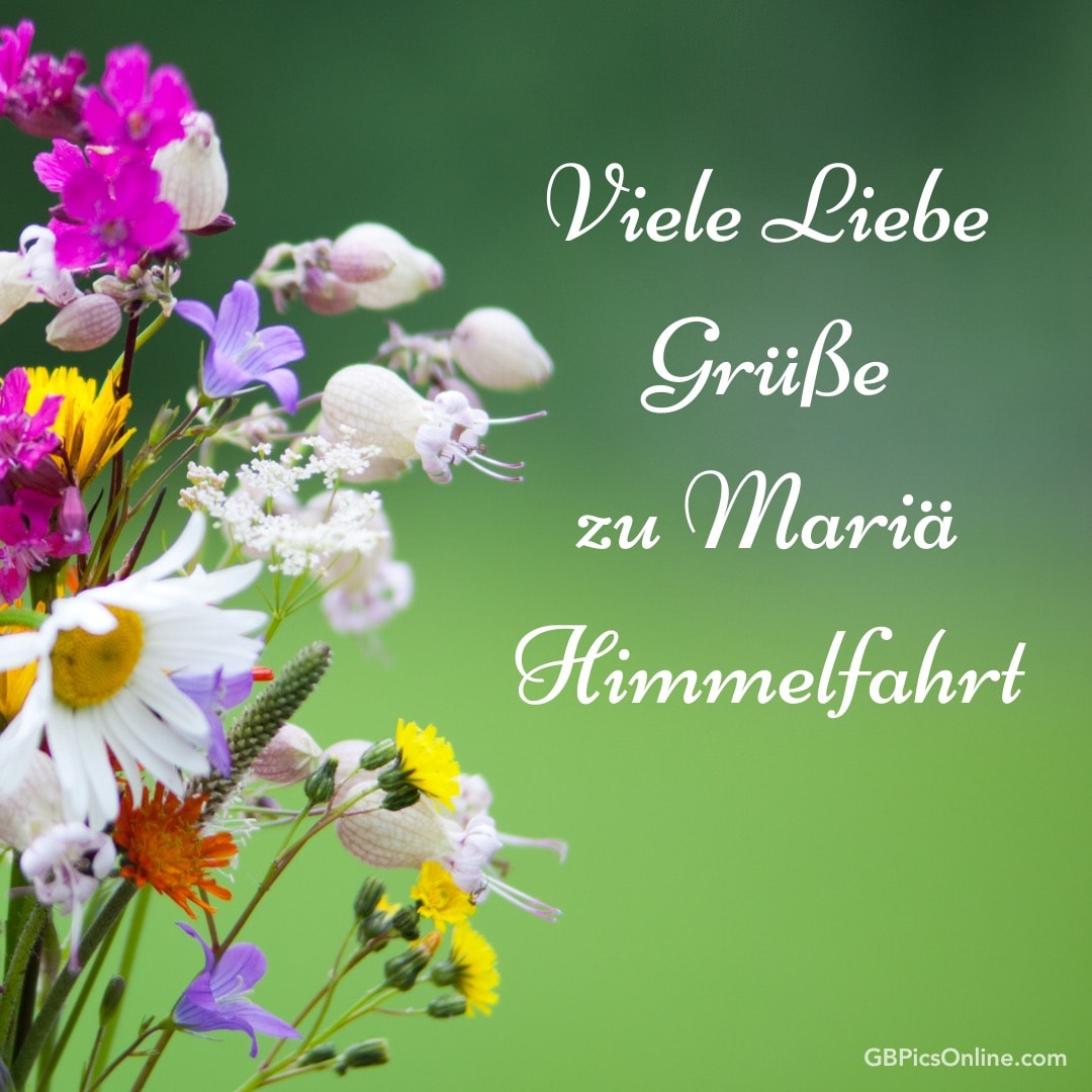 Ein Strauß bunter Blumen mit einem Gruß zu Maria Himmelfahrt