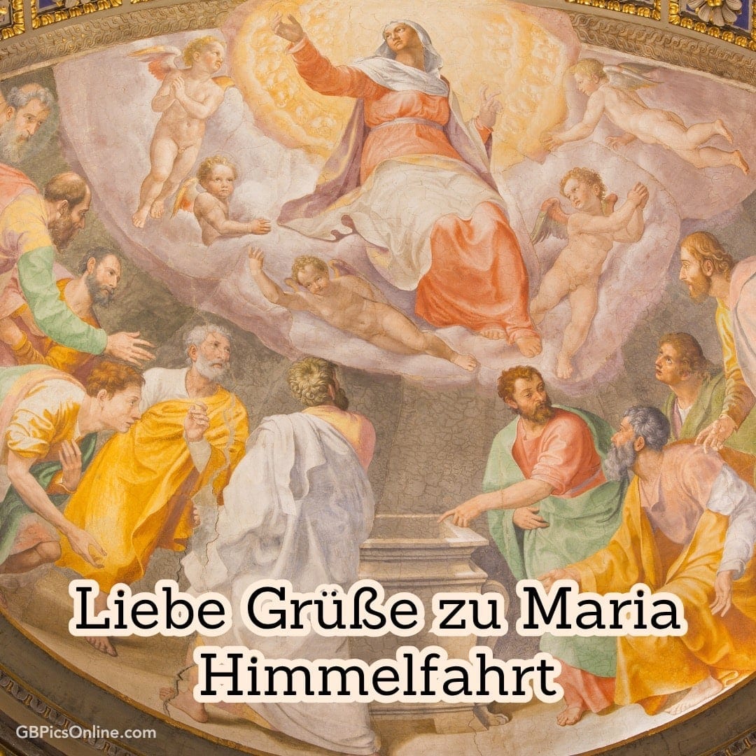 Maria schwebt im Himmel, umgeben von Engeln und Heiligen. Unten schauen Menschen staunend zu ihr empor