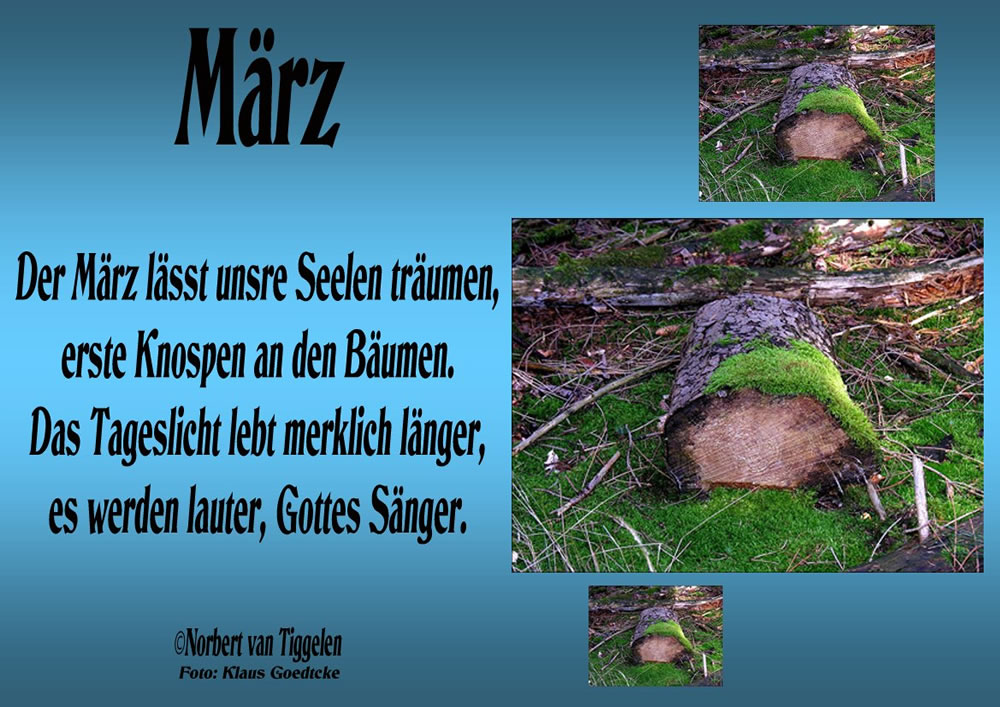 März Bilder März GB Pics (Seite 2)