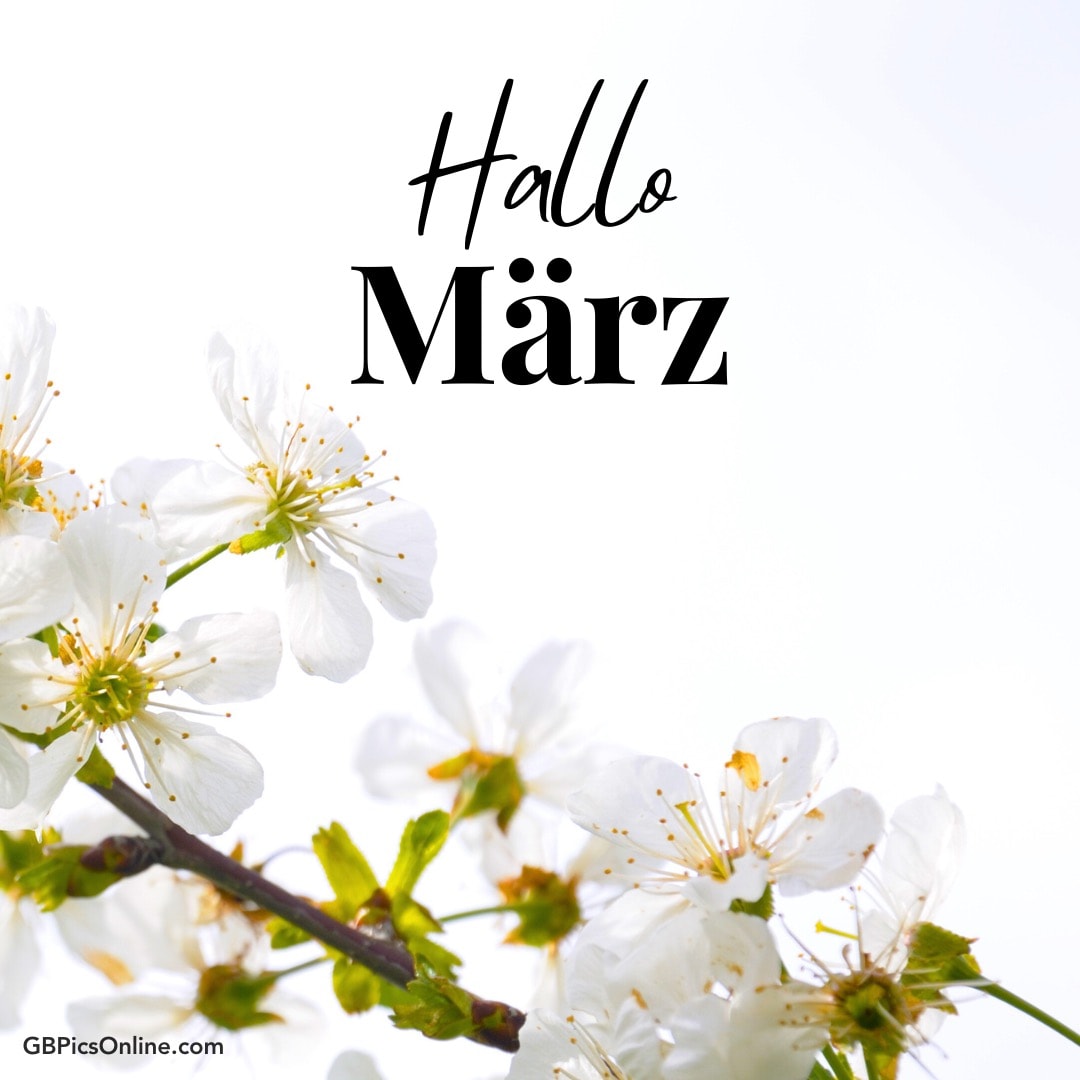 Weiße Blüten, „Hallo März“ Text, Frühlingsgefühl