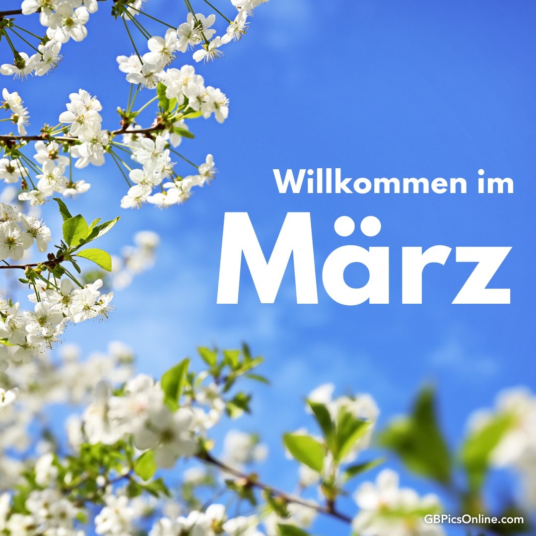Blühende Zweige vor blauem Himmel mit Text „Willkommen im März“
