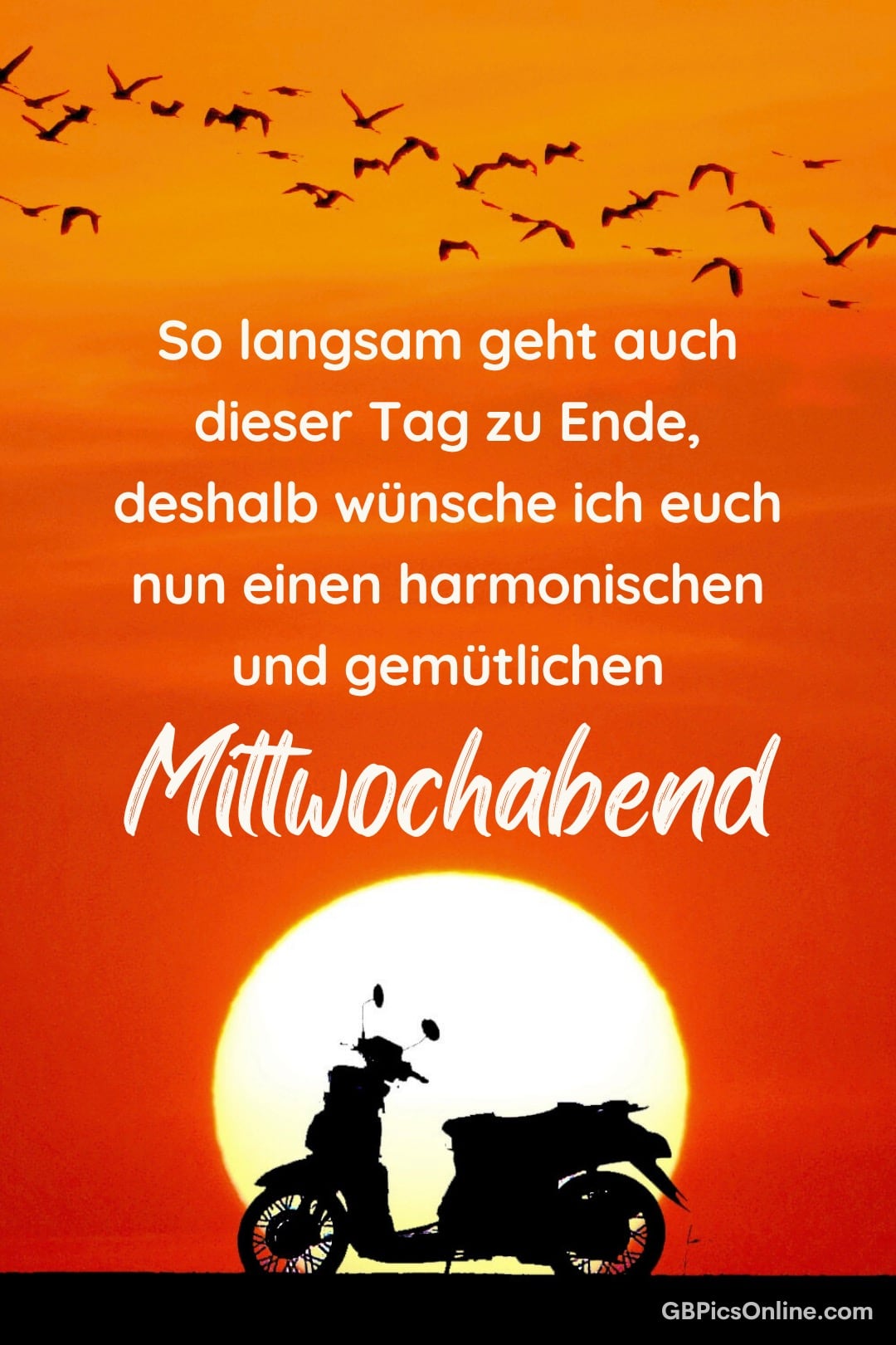 Silhouette eines Motorrollers vor einem großen Sonnenuntergang und fliegenden Vögeln