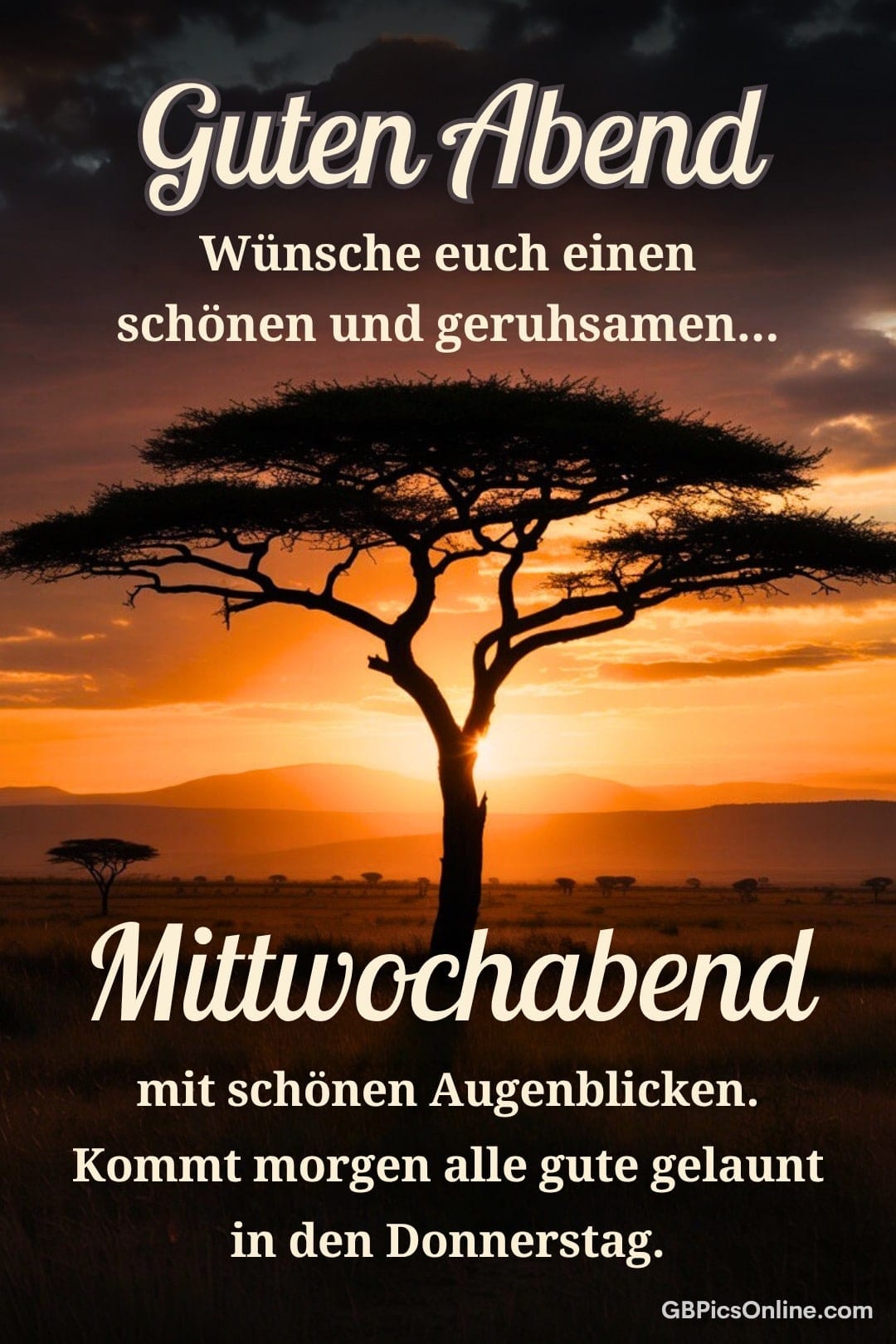Ein afrikanischer Baum silhouettiert sich vor einem Sonnenuntergangshimmel