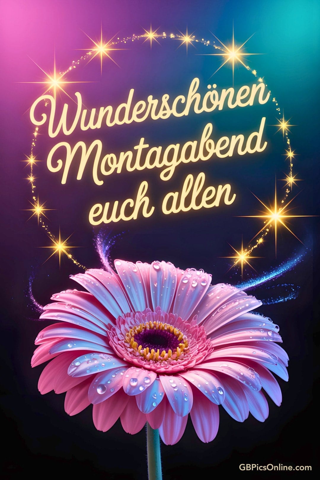 Rosa Gerbera mit Wassertropfen, darüber der Text „Wunderschönen Montagabend euch allen“