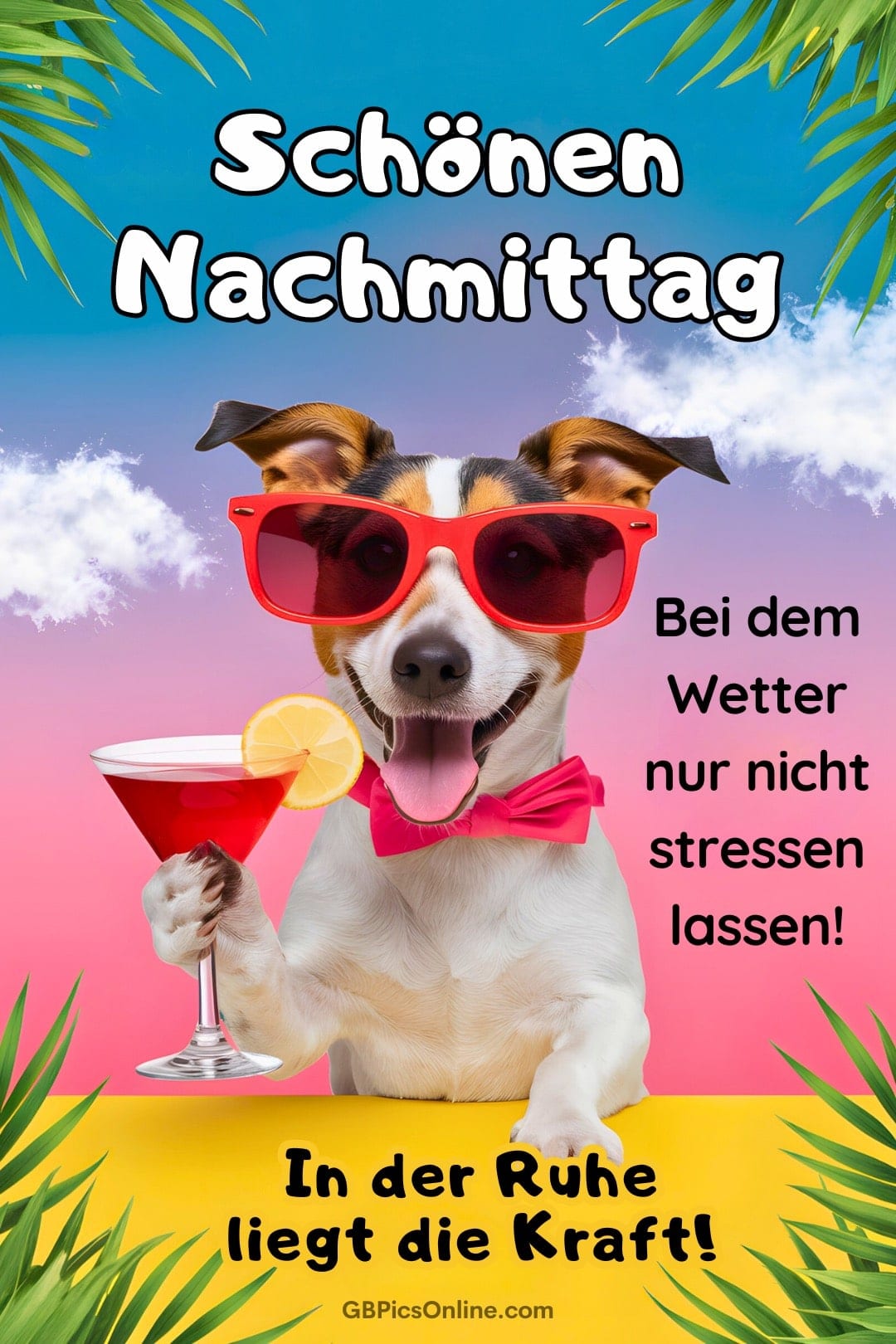 Nachmittag bild 18