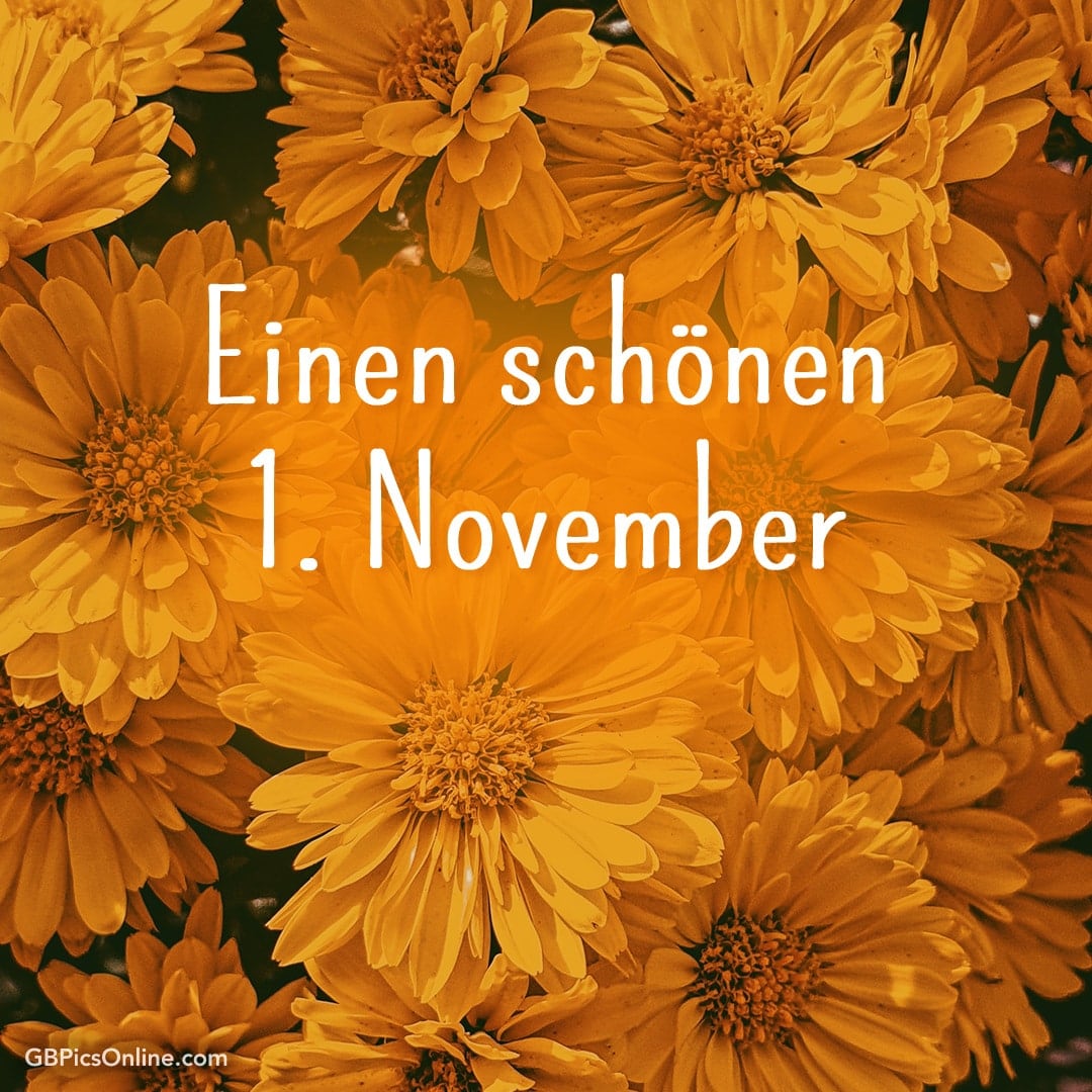 Gelbe Blumen mit Grüßen zum 1. November