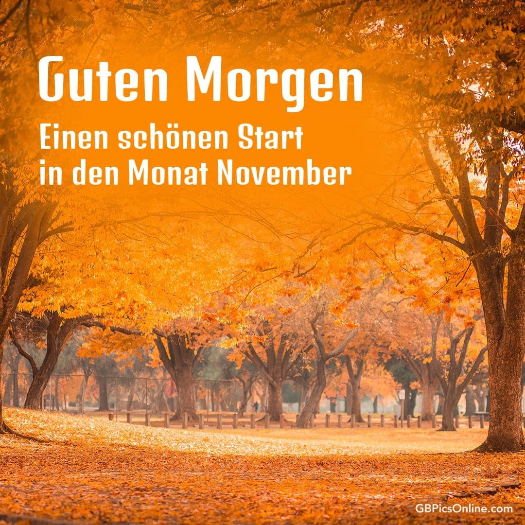 Herbstlicher Park mit orangefarbenen Blättern und Wunsch für den November