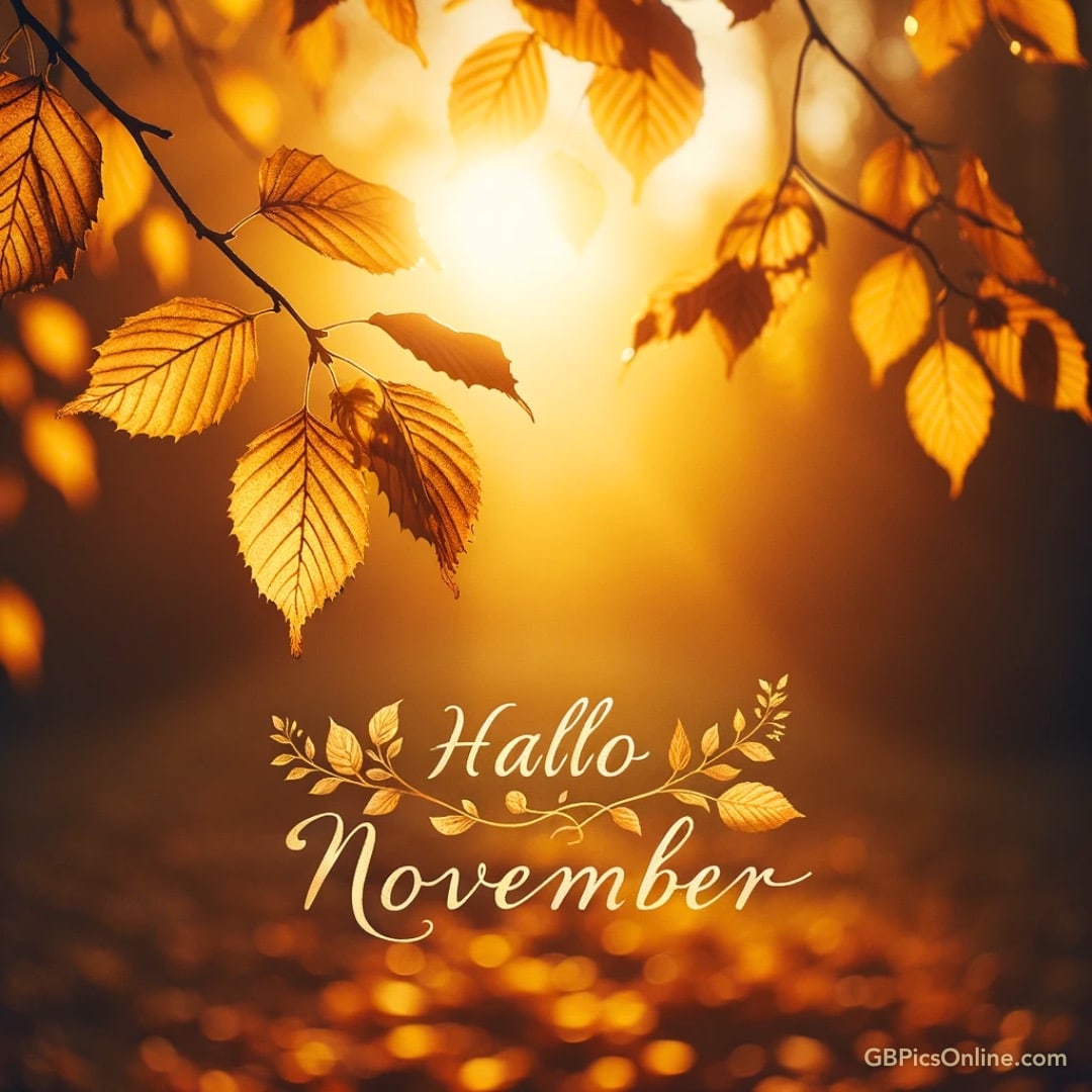 Goldene Herbstblätter im Lichtschein mit „Hallo November“ Schriftzug