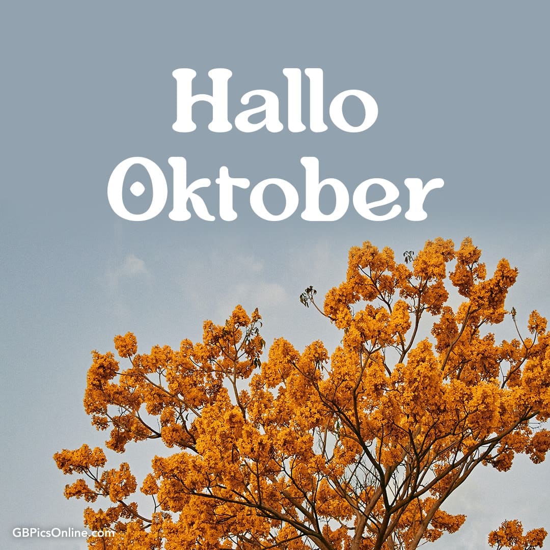 Ein Baum mit orangefarbenen Blättern, darüber steht „Hallo Oktober“