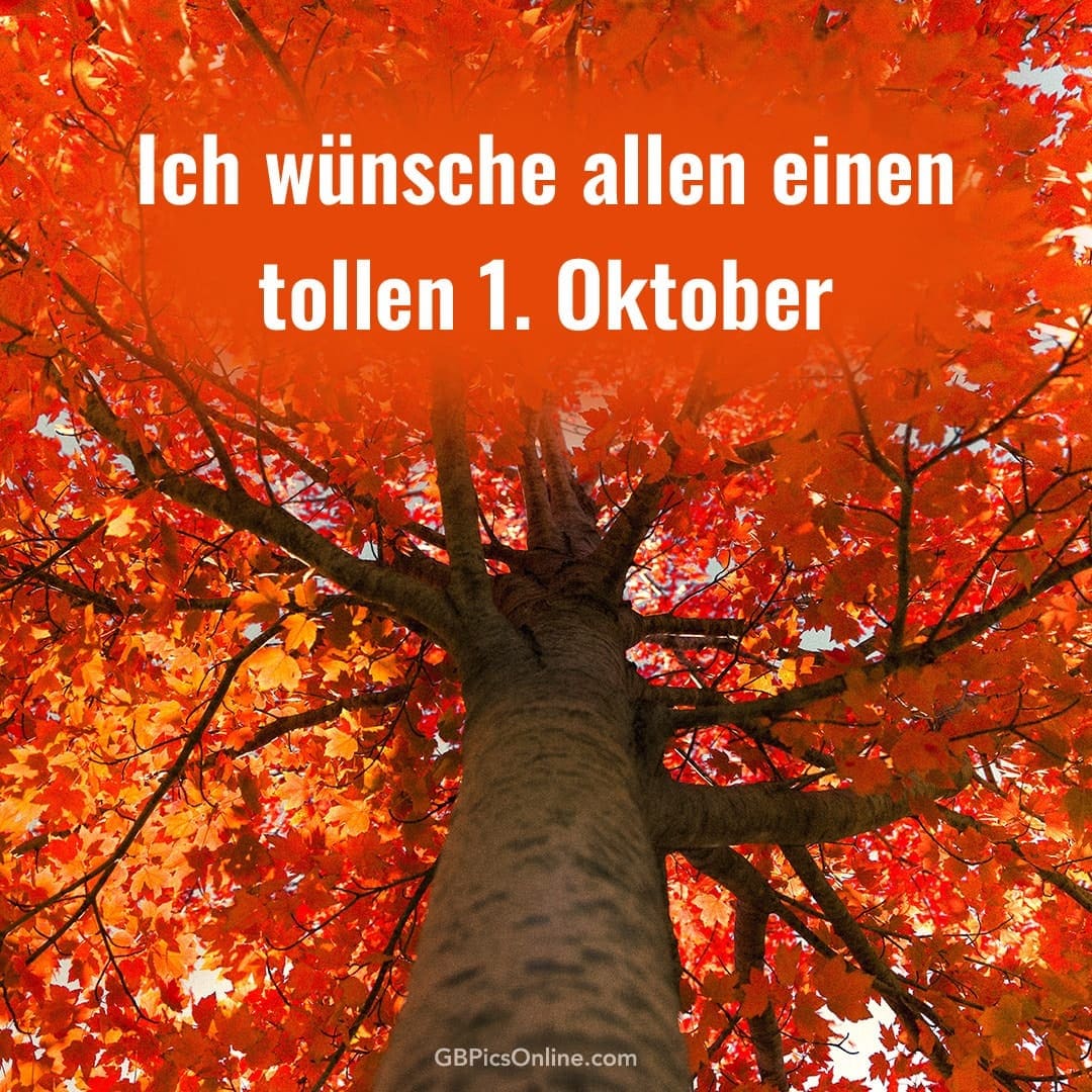 Blick nach oben in die roten Blätter eines Baumes mit Wünschen für den 1. Oktober