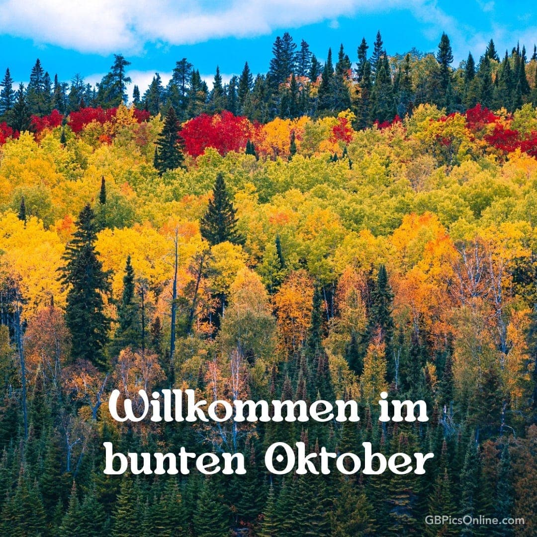 Herbstwald mit bunten Blättern und Text „Willkommen im bunten Oktober“
