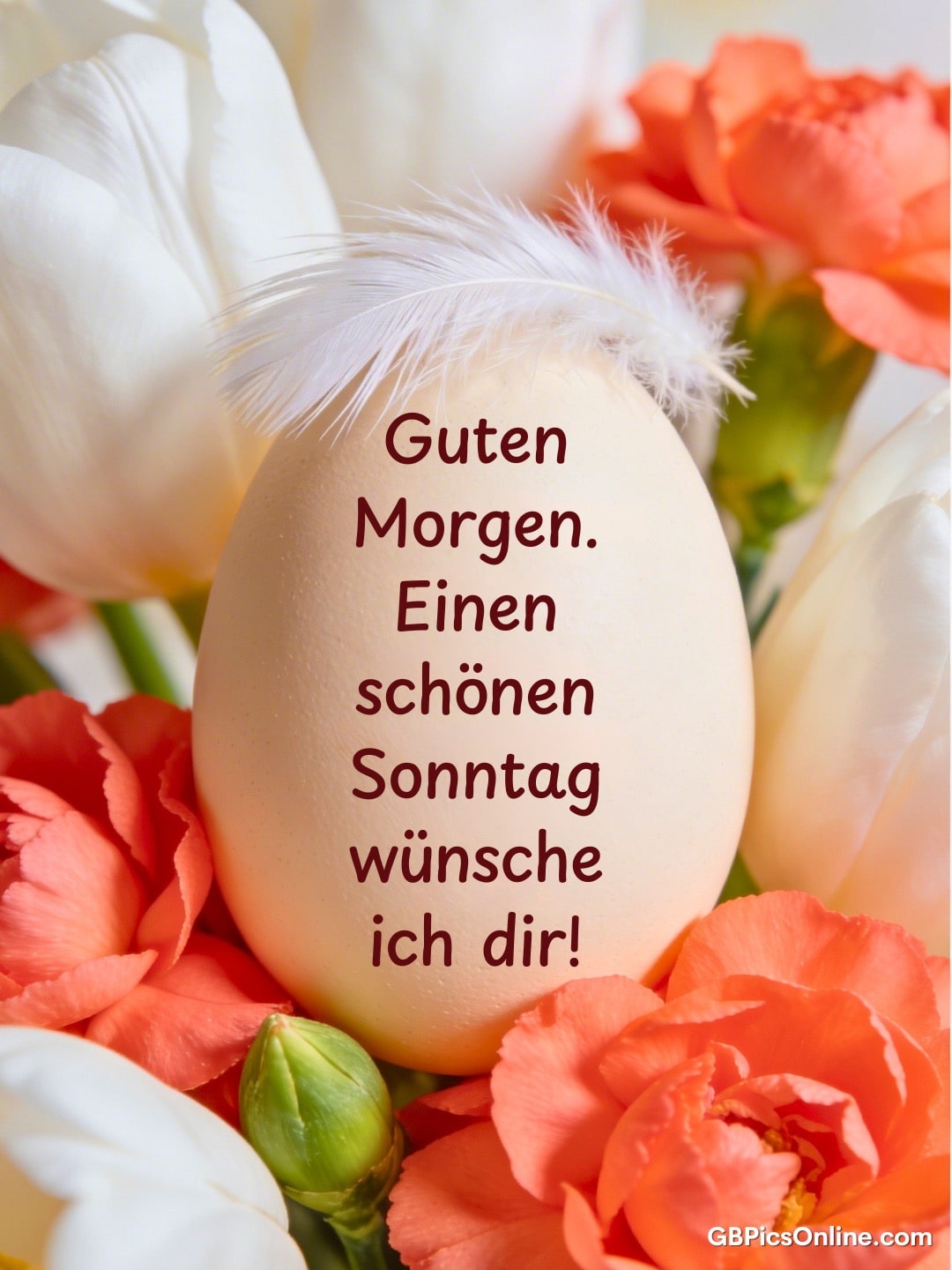 Ei mit weißer Feder zwischen weißen Tulpen und orangefarbenen Blüten, darauf Sonntagsgruß