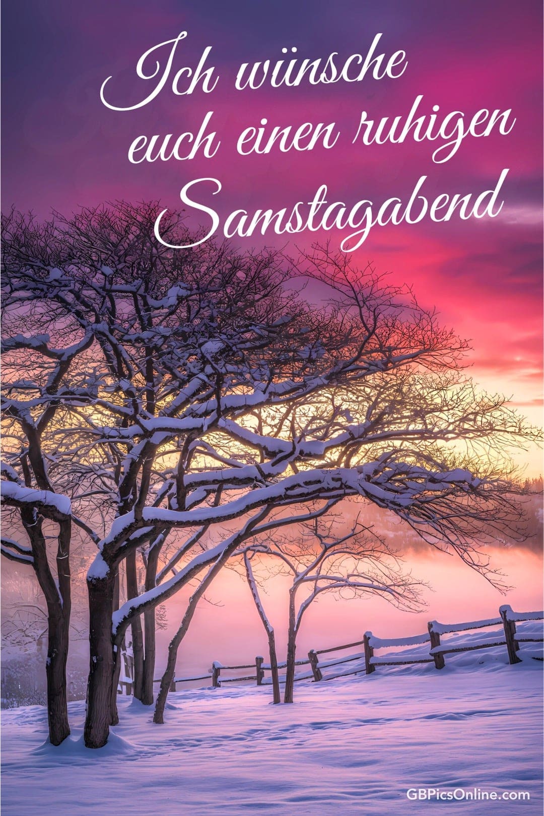 Verschneite Bäume bei einem rosaroten Sonnenuntergang mit Neujahrswünschen