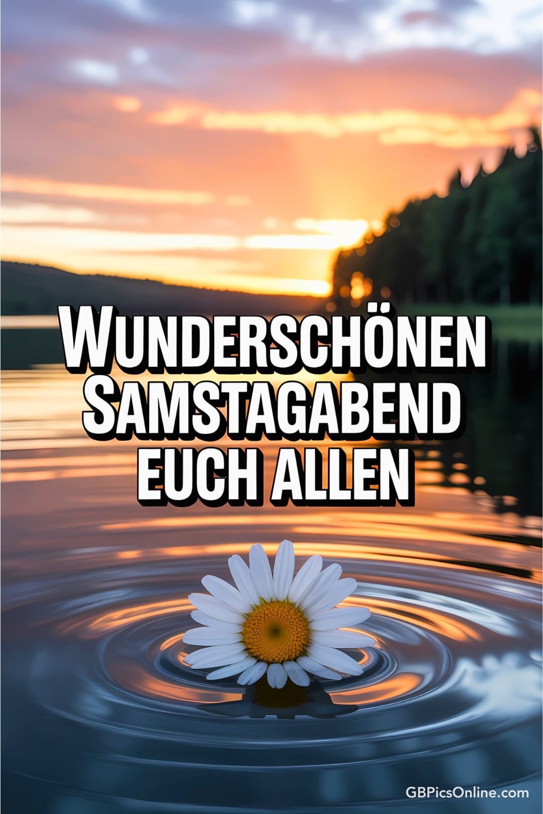 Sonnenuntergang am See mit Gänseblümchen und Wunsch für einen schönen Samstagabend