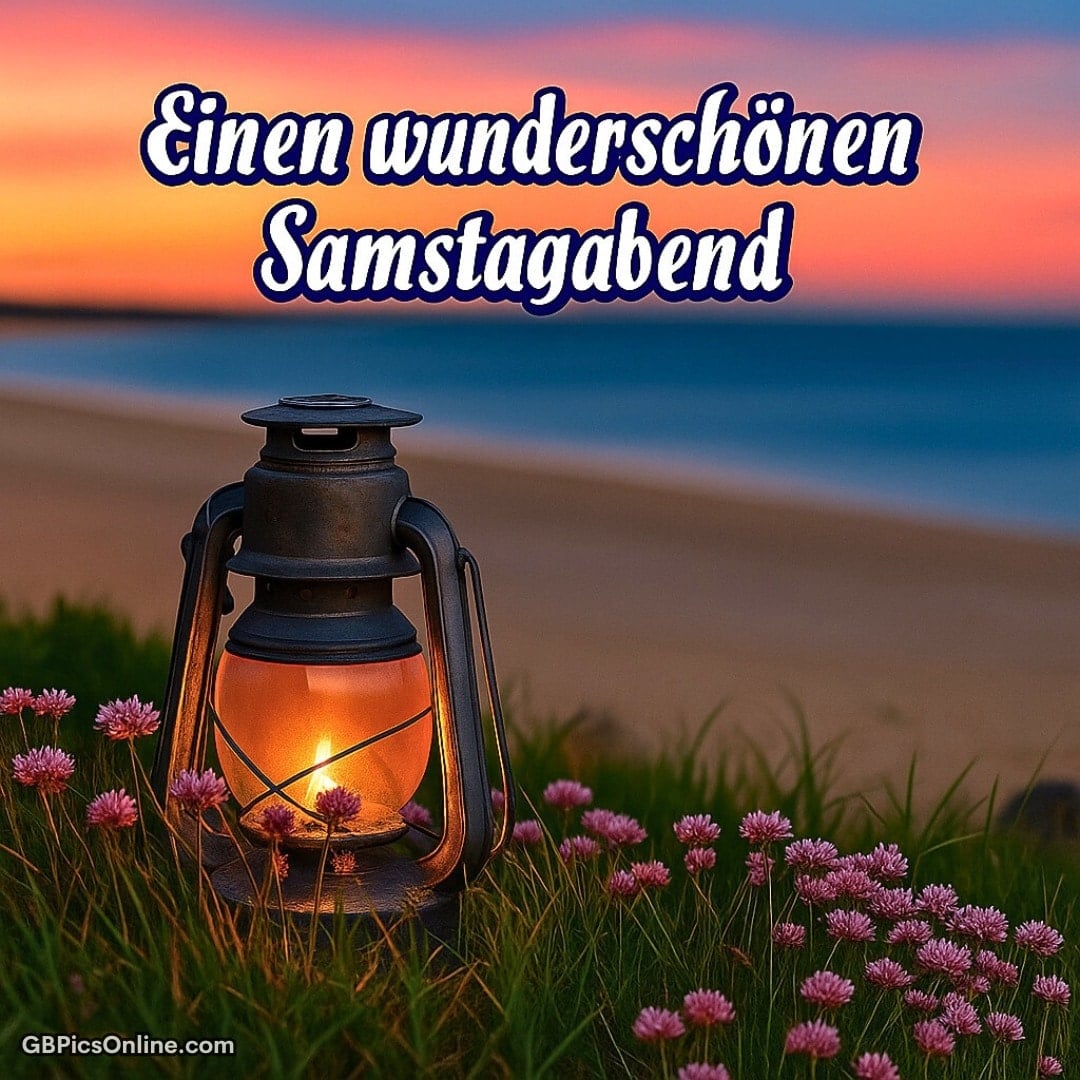 Leuchtende Laterne zwischen rosa Blumen am Strand bei farbenprächtigem Sonnenuntergang