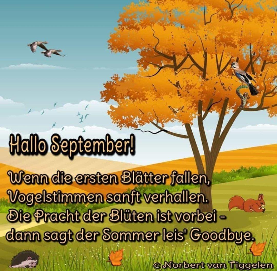 Hallo September! Wenn die ersten Blätter fallen, Vogelstimmen sanft...