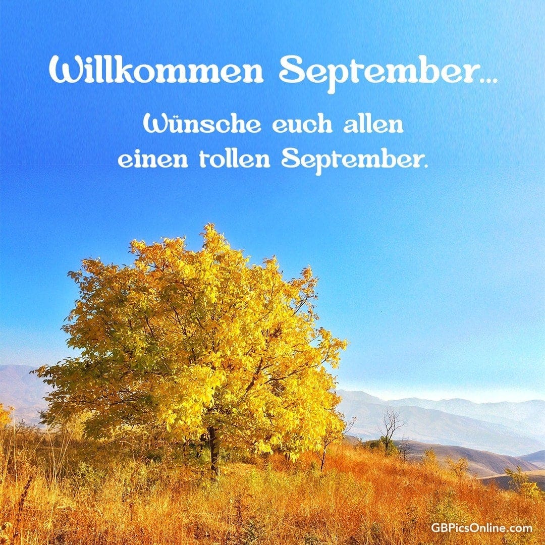 Ein goldener Herbstbaum vor einem blauen Himmel und Bergen, mit Grußtext für September