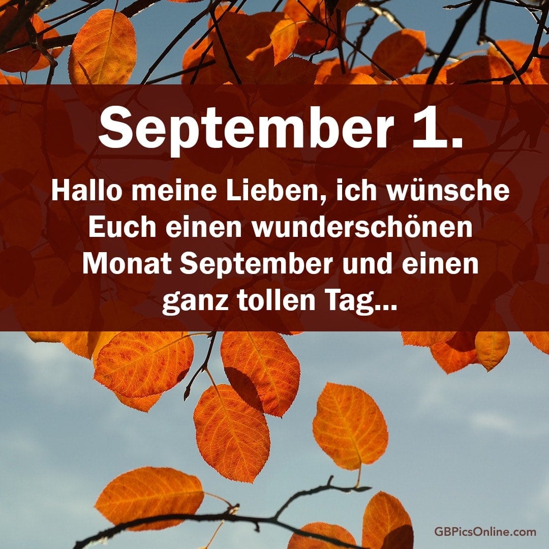 Herbstblätter gegen den Himmel, mit Wünschen für September