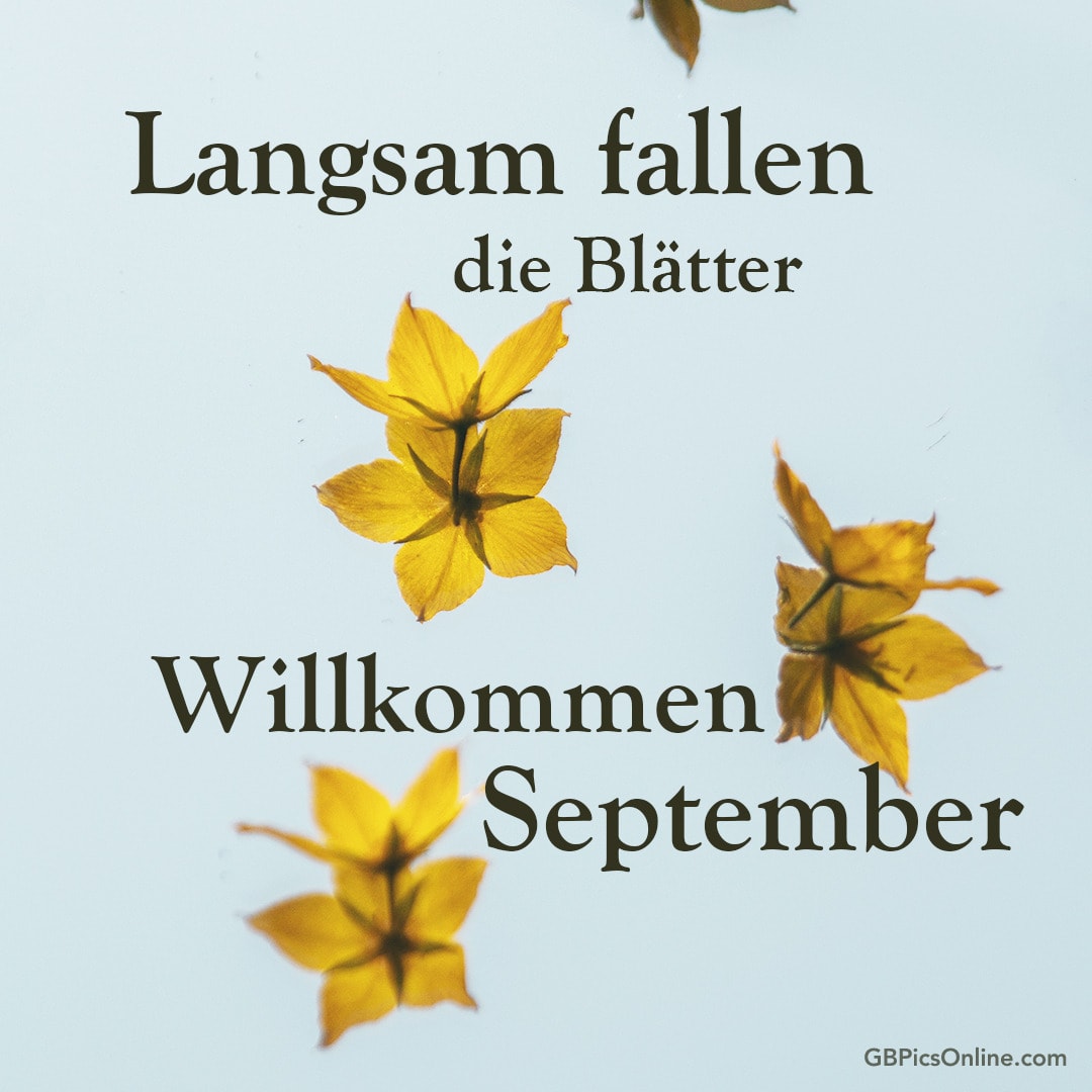 Fallende gelbe Blätter mit Text: Langsam fallen die Blätter, Willkommen September