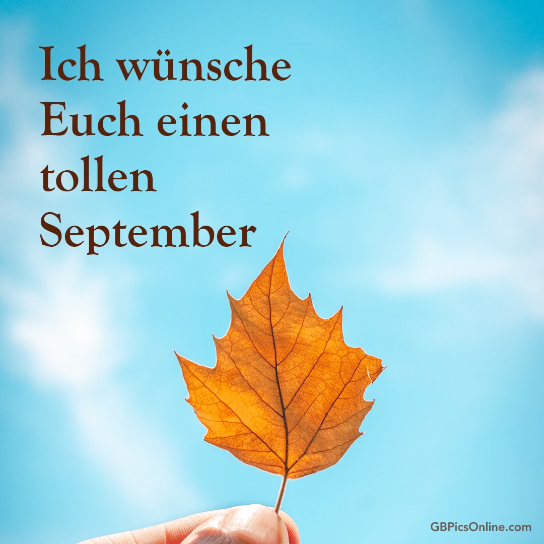 Ein Herbstblatt vor blauem Himmel, mit Text: Ich wünsche Euch einen tollen September