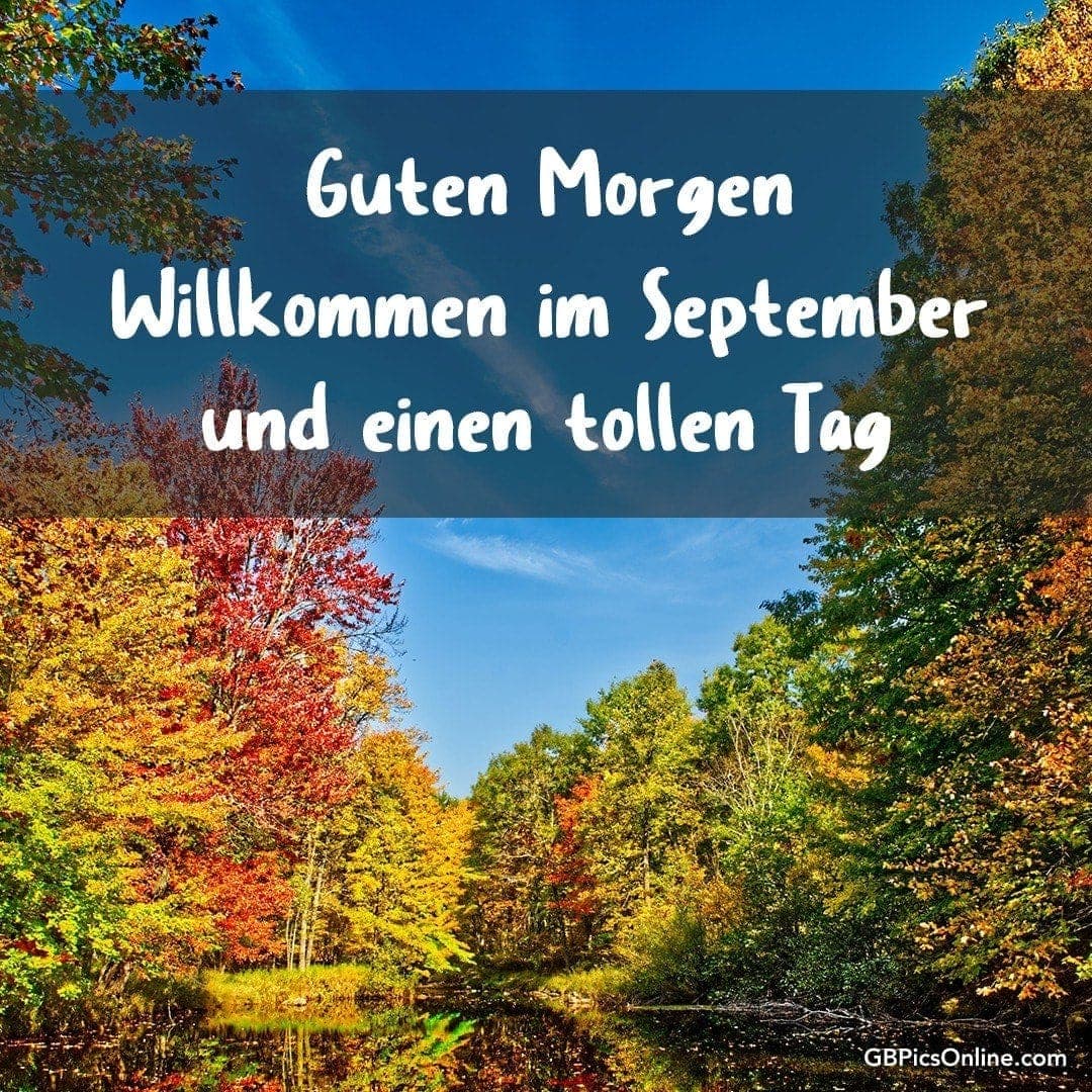 Herbstlicher Wald mit Text „Guten Morgen, Willkommen im September und einen tollen Tag“
